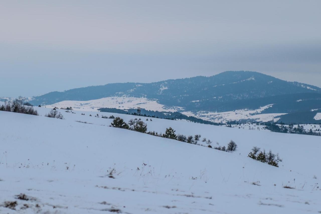 Hotel Dijamant Zlatibor Buitenkant foto